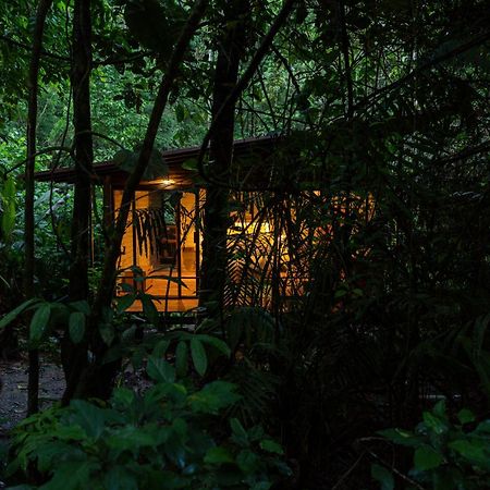 Hamadryade Lodge Puerto Misahuallí Buitenkant foto