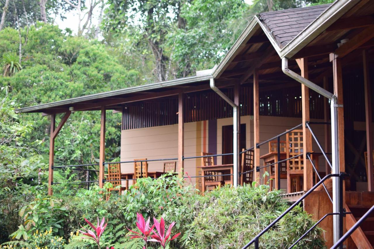 Hamadryade Lodge Puerto Misahuallí Buitenkant foto