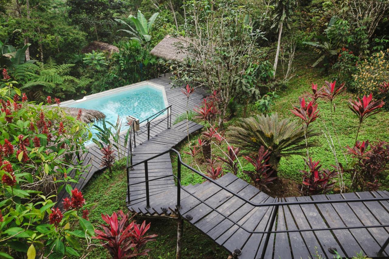 Hamadryade Lodge Puerto Misahuallí Buitenkant foto