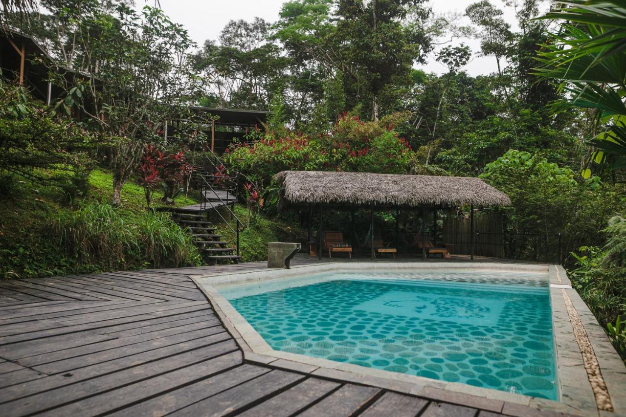 Hamadryade Lodge Puerto Misahuallí Buitenkant foto