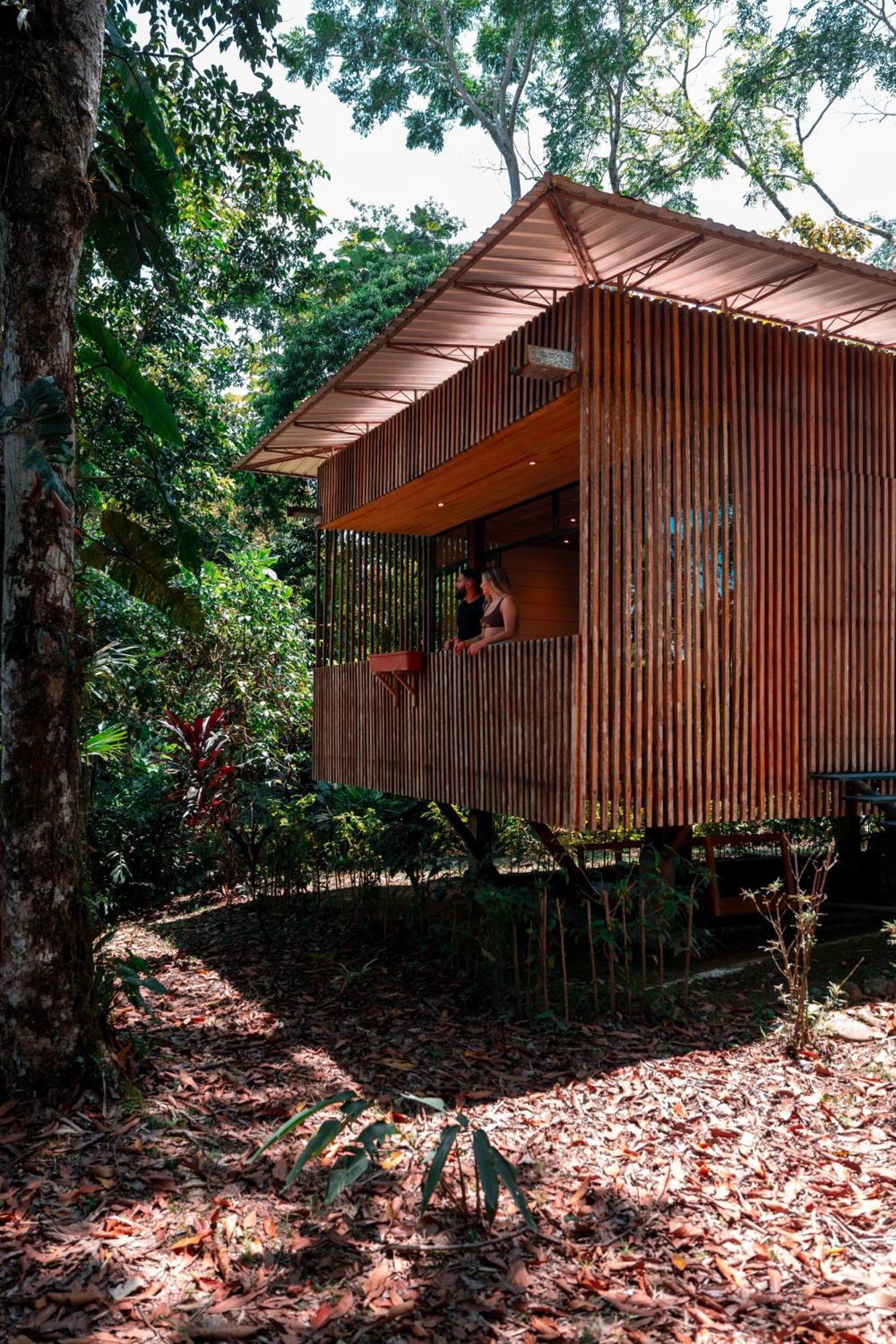 Hamadryade Lodge Puerto Misahuallí Buitenkant foto