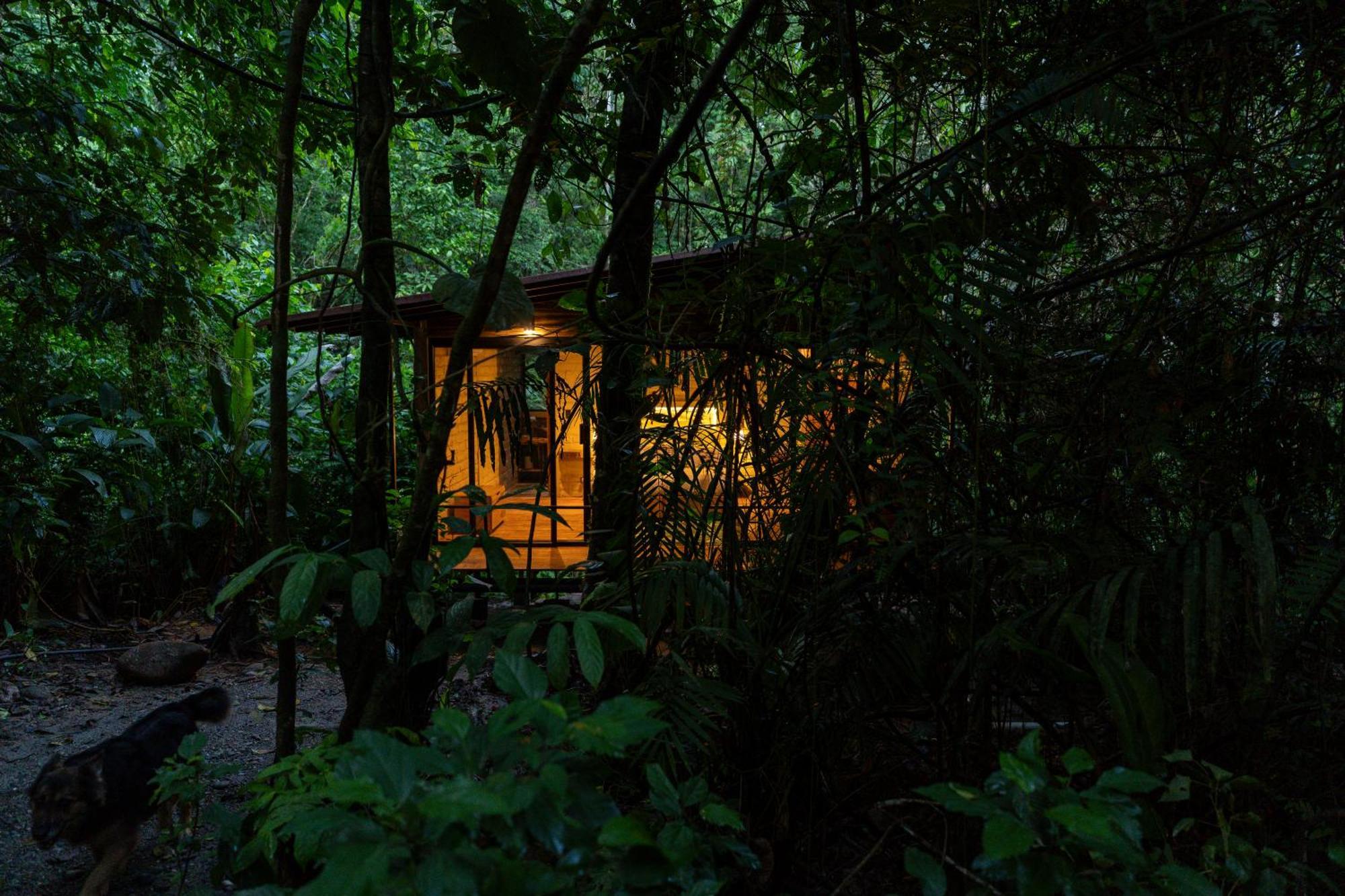 Hamadryade Lodge Puerto Misahuallí Buitenkant foto